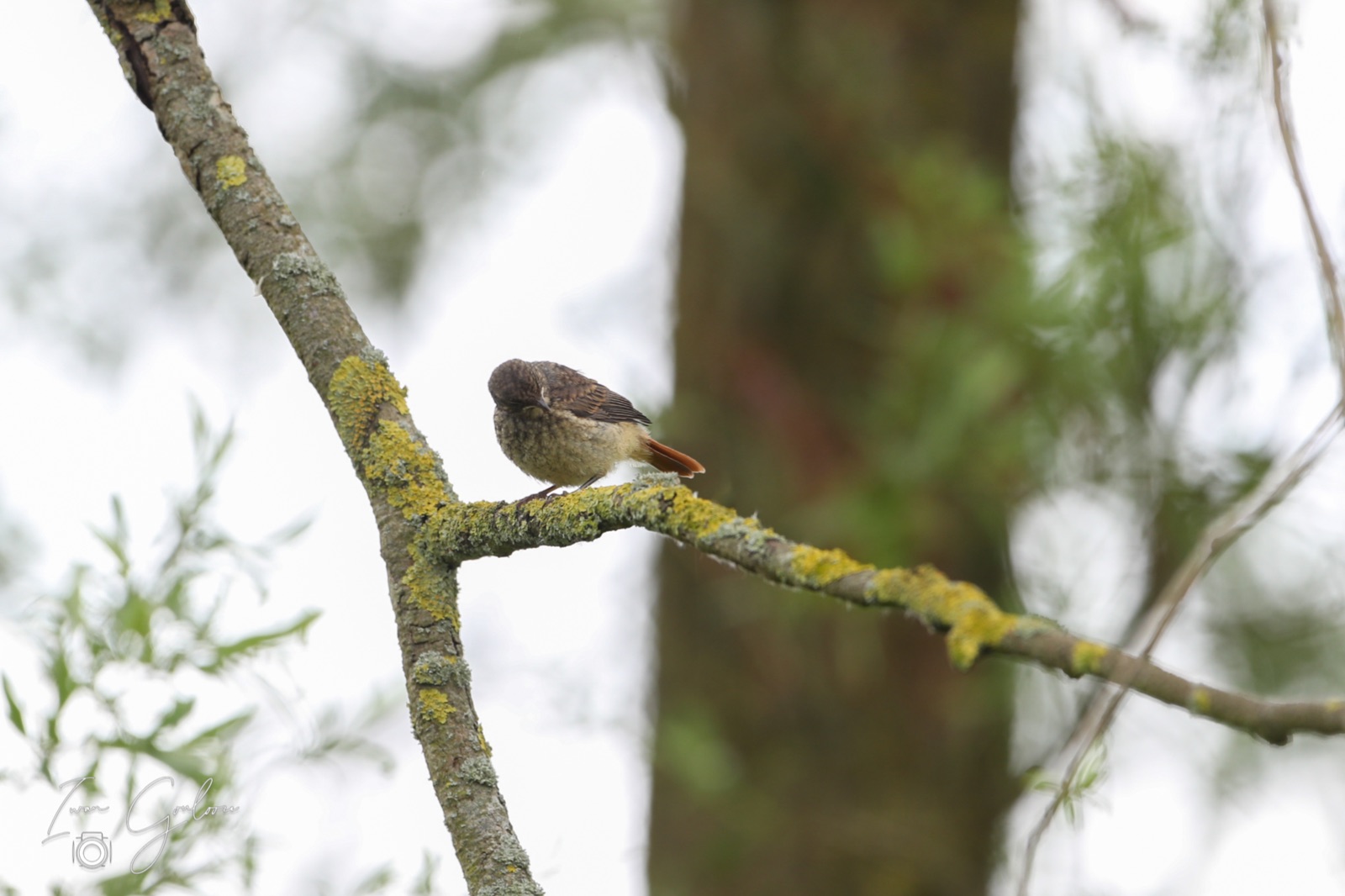 1DX45980 04 juni 2022 1240 54